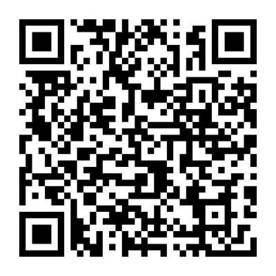 湛江市中級(jí)人民法院軟件開發(fā)服務(wù) 成品軟件租賃購買項(xiàng)目的全面解析與展望
